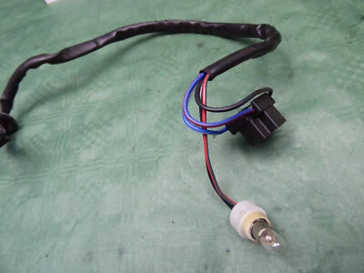 Cableado de faros TRIUMPH (Int.Ec) CUATRO faros 955 VELOCIDAD TRIPLE Foto 1 de 3