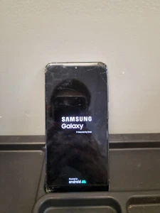 Samsung Galaxy S21 FE - 5G - Graphite (Unlocked) - Picture 1 of 2