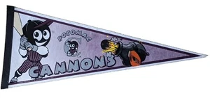 Carolina League Potomac Cannons Vintage Defunct Circa 2002 Team Logo Pennant - Picture 1 of 4