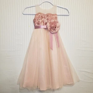 Rare Edition Girl's Mauve & Pink Sheer Sequins Embroidered Lace Ribbon Dress Sz4 - Picture 1 of 12