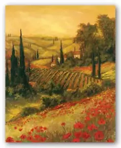 Toscano Valley II Kunst Fronckowiak Landschaft Kunstdruck 22x28 - Bild 1 von 1