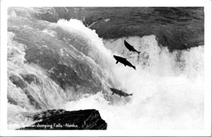 RPPC Salmon Jumping Falls Alaska AK Kodak Robinson photo postcard HQ17 - Picture 1 of 2