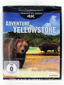 Adventure Yellowstone – Der Ruf der Wildnis - 4K - Bison, Wapiti, Grizzly, Wölfe - Bild 1 von 2