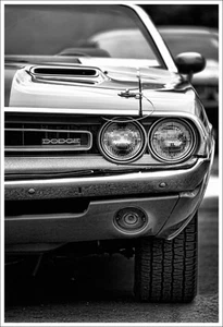 1971 Dodge Challenger R/T Convertible Photo Print 13x19 Art 340 440 426 HEMI - Picture 1 of 1