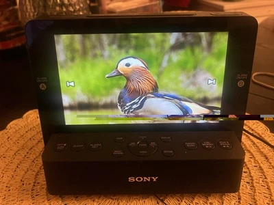 Sony Dream Machine Clock Radio iPod/iPhone Dock USB/Memory Excellent Condition - Image 1 of 4