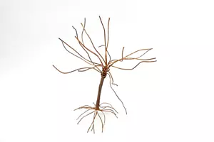 Interesting Bare Bright Copper Scrap Wire Tree Sculpture Art Free Standing - Picture 1 of 10