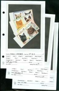 EDW1949SELL : TUVALU Nanumea 1985 Scott #29-32 Cats Scarce collection All VF MNH - Picture 1 of 4