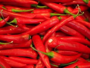 50SEEDS HOT BIG THAI CHILI PEPPER FRESH SEEDS - Picture 1 of 1
