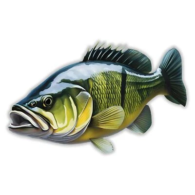 Großmaul Barsch Fisch Aufkleber Sticker - Bild 1 von 3