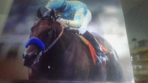 11x14 kentucky derby american pharoah photo victor espinoza auto infield shot - Picture 1 of 4