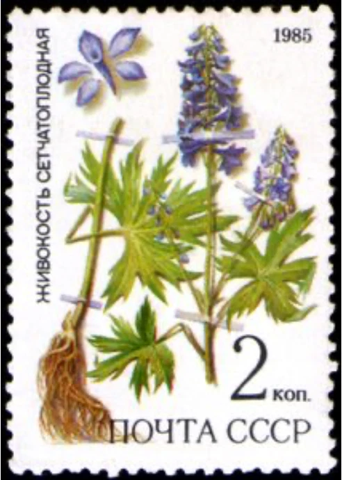 Russia #Mi5528 MNH 1985 Protected Medicinal Siberia Plants Larkspur [5379] - Image 1 of 1