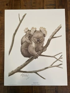 Guy Coheleach Koala Bear 1977 Limited Edtion Art Print Signed 20x16” - Picture 1 of 4