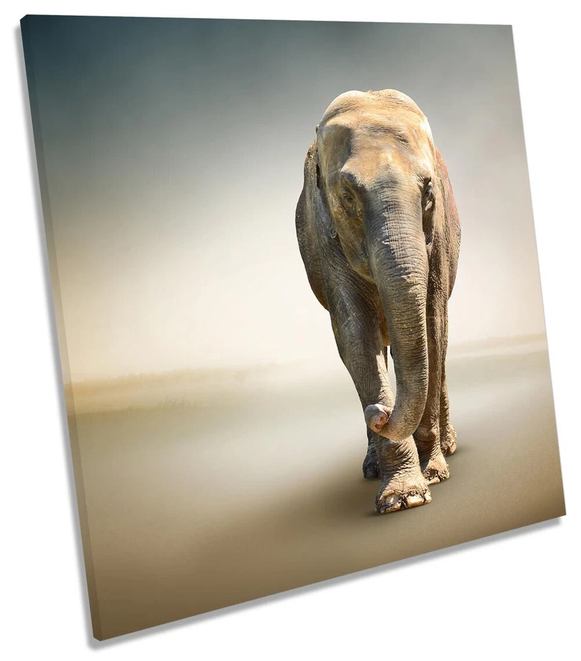 Elephant African Framed CANVAS PRINT Square Wall Art - Image 1 of 1