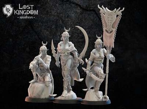 Onna Bugeisha Command Group: Lost Kingdom Miniatures Night Elves Resin 3D Print - Picture 1 of 3