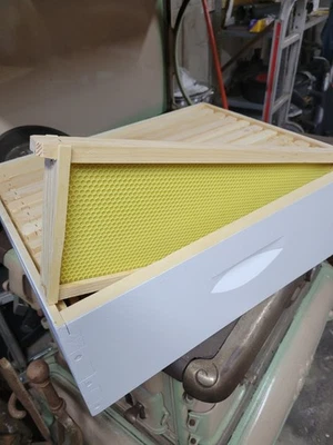 Mann Lake Painted 6 5/8 Honey Super Kit W/ Frames - Image 1 of 4