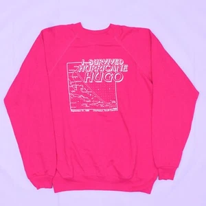 Sudadera D6062 De Colección Hanes 1998 I Survived Hurricane Hugo Ragland Hecha en EE. UU. L - Imagen 1 de 8
