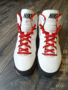 brandon roy nike shoes