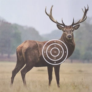 Archery 40x40cm Hunting Target Papers for Compound/Recurve Bow Shooting 10PCS - Bild 1 von 9