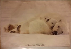 POLAR BEAR Poster VINTAGE SEALED 1980s Arctic Sea Cubs Animals Wildlife Nature - Foto 1 di 2