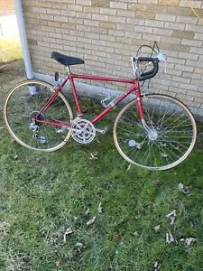 Bridgestone Kabuki Vintage Bicycle - Picture 1 of 20