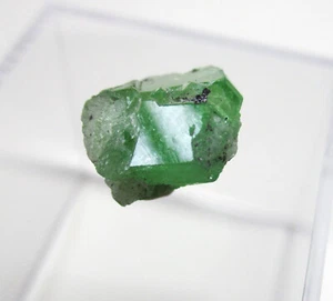 +++ Tsavorit X -- Merelani Mine, Manyara, Tansania +++ - Bild 1 von 5