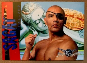1994-95 Upper Deck Pyramid Street Fighter (Movie) Sagat 72 - Bild 1 von 2