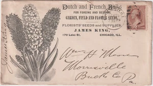 1887 #210 CHICAGO ILL Illust advt DUTCH and GFRENCH BULBS James King (d291) - Picture 1 of 2
