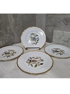 Spode Audubon American Birds Bread & Butter - Set Of 4 - Picture 1 of 5