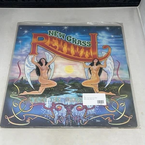 New Grass Revival When The Storm Is Over 1977/ Bluegrass Vinyl - Picture 1 of 3