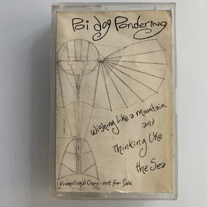 Poi Dog Pondering Wishing Like A Mountain Promo (Cassette) - Picture 1 of 2