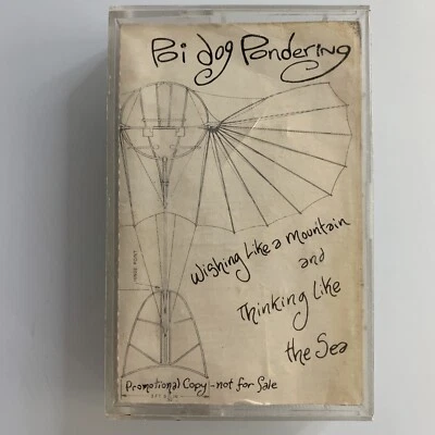 Poi Dog Pondering Wishing Like A Mountain Promo (Cassette) - Image 1 of 2