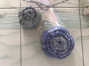 Sea urchins rustic artisan beach coastal gnarly Ceramic ocean garden artisan - Picture 1 of 10