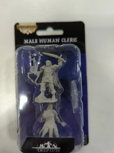 Menschlicher männlicher Kleriker Pathfinder Schlachten tiefe Schnitte Wizkids WZK72600 - Bild 1 von 1