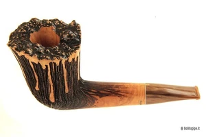 Amorelli * * * * - Chubby Dublin - Bild 1 von 7