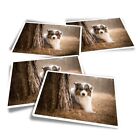 4x Rectangle Stickers - Australian Sheepdog Collie Puppy #13167