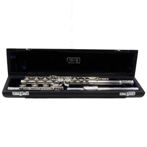 William S. Haynes Model QGOB 'James Galway' Flute SN 3110 GORGEOUS - Picture 1 of 21