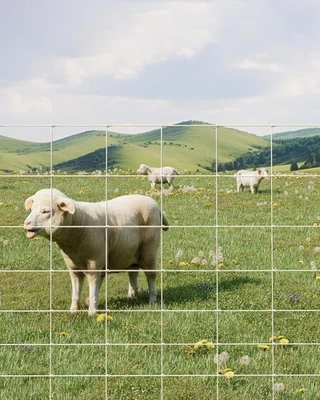 Cerca de fazenda 9GA 4 pés x 164/328 pés resistente galvanizada cerca de gado animais Protec - Imagem 1 de 4