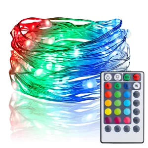 10M Waterproof Fairy Color Changing LED String Rope Light With Remote & Adapter - Picture 1 of 6