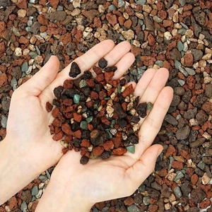 Mix Horticultural Lava Rock Pebbles-Decorative Landscaping Gritty Rocks,Pumice P - Picture 1 of 1