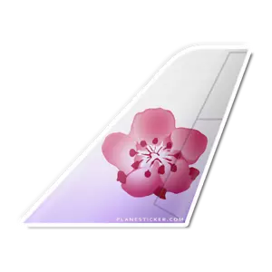 China Airlines Tail - Picture 1 of 1