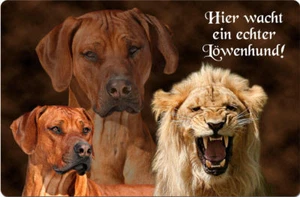 Rhodesian RIDGEBACK A4 Alu Warnschild Hundeschild SCHILD Türschild - RRB 10 T55 - Bild 1 von 2