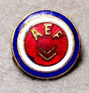Pin 2 Chevrons de las Fuerzas Expedicionarias Americanas de la Primera Guerra Mundial, EC - Imagen 1 de 3