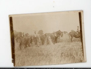 Identified subject Harvesting wheat vintage snapshot photo farming agriculture - Picture 1 of 3