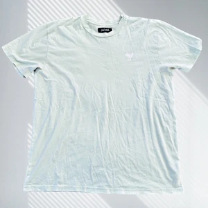 bad birdie men’s xl pima cotton golf t-shirt light green crewneck logo tee - Picture 1 of 6