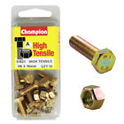 Champion Fasteners Bm21 Metric High Tensile Bolts & Nuts M6 X 16Mm Pack Of 10