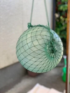 Glass Fishing Float Buoy Ball Vintage Japanese diameter 20cm 7.8in Net Japan #81 - Picture 1 of 8
