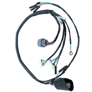 NEW Wire Wiring Harness For Honda TRX300EX Sportrax 1993-2004 32100-HM3-000 - Picture 1 of 6