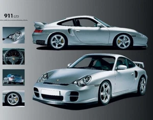 Porsche 911 GT2 Poster 19.75" x 15.75" by Eurographics - Picture 1 of 1