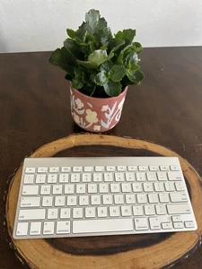 Apple Bluetooth Magic A1314 Model Wireless Keyboard Good - Afbeelding 1 van 13