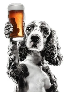 Cocker Spaniel Drinking Beer - Cute Funny Animals - Poster - Picture 1 of 5
